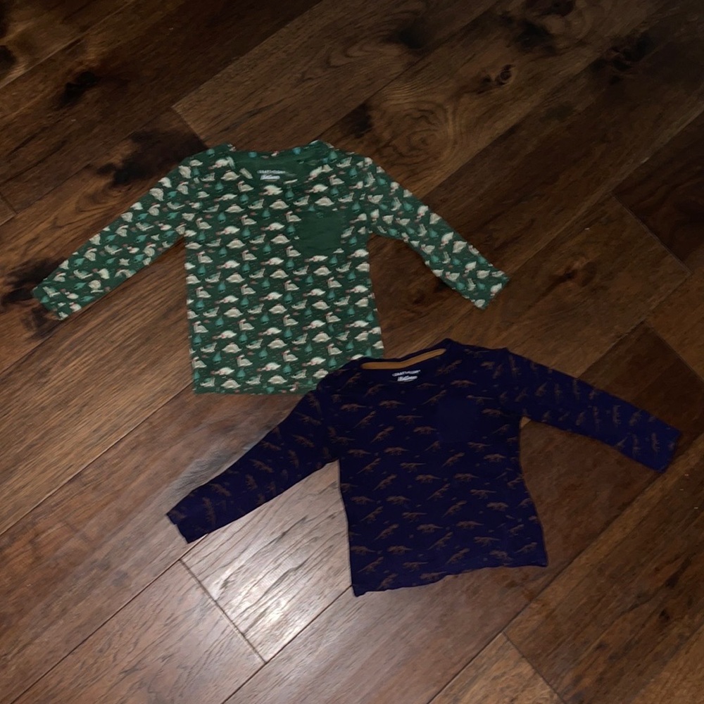 Dinosaur 🦕 Shirts Toddler 4T